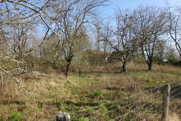 Terrain à vendre de 1 341,00 m² CHUELLES (45)