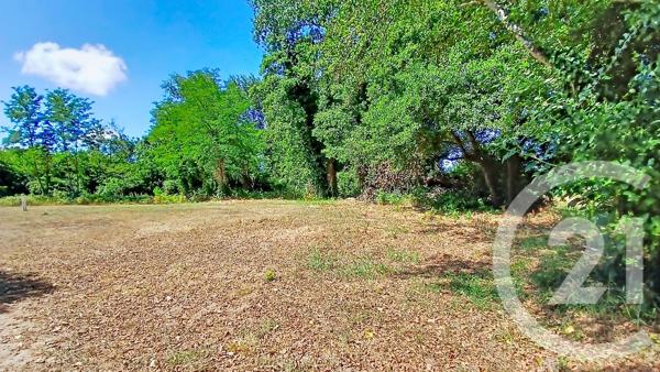 Terrain à vendre  840 m 2   ONDRES  - 40