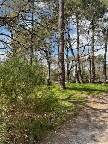 Achat - Fonds et/ou murs commerciaux Vannes 56000 344 m 2 1309 m 2