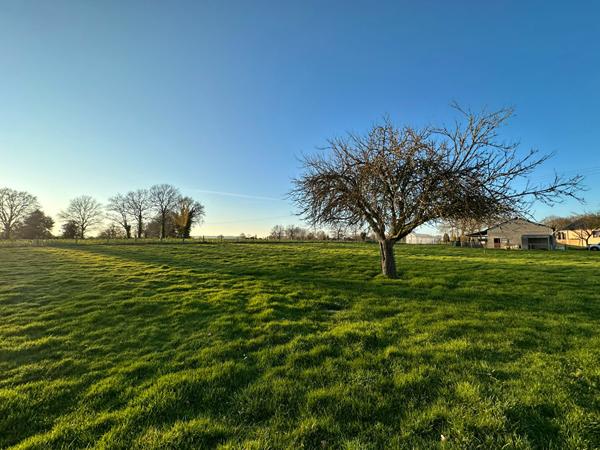 Terrain à bâtir 1250 m²