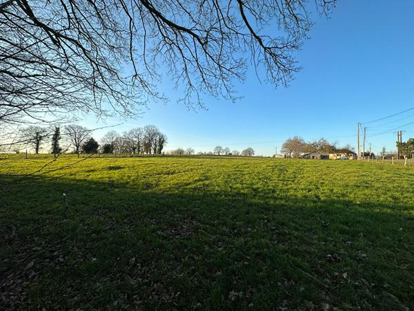 Terrain à bâtir 1250 m²
