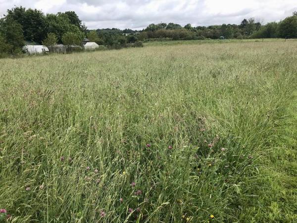 Terrain à vendre |  Lubersac |  2250 m²