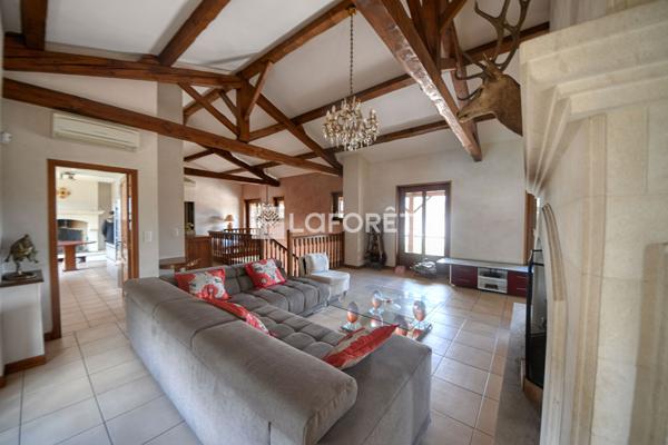 Achat maison Graulhet - 10 pièce(s) - 458 m² - 736 800 €