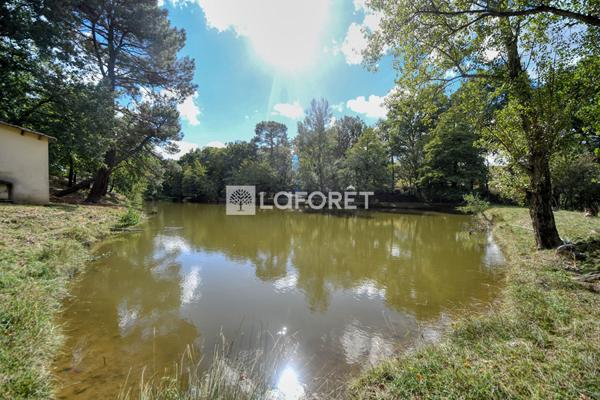 Achat maison Graulhet - 10 pièce(s) - 458 m² - 736 800 €