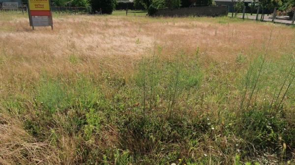 Terrain à Batir à vendre à Pleumartin dans la Vienne (86450), ref : 86024-TB01700   
Centre-bourg