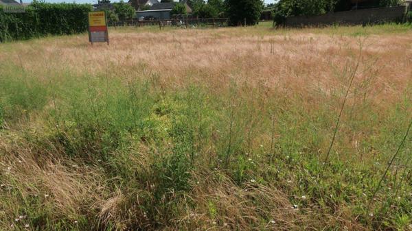Terrain à Batir à vendre à Pleumartin dans la Vienne (86450), ref : 86024-TB01700   
Centre-bourg