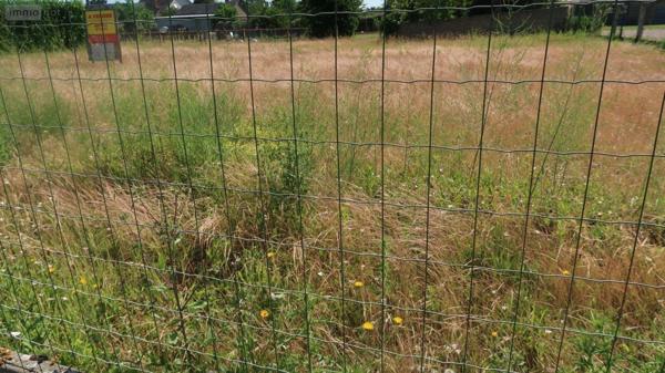 Terrain à Batir à vendre à Pleumartin dans la Vienne (86450), ref : 86024-TB01700   
Centre-bourg