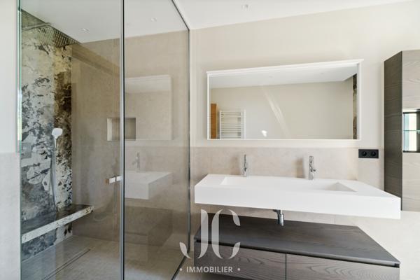 PROPRIETE HAUT STANDING VUE MER