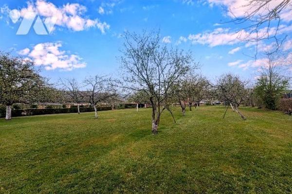 Verger avec un petit bâtiment à vendre à Nogent-le-Rotrou (28400) en Eure-et-Loir (28)

Situé...