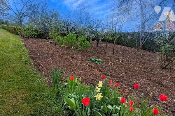Verger avec un petit bâtiment à vendre à Nogent-le-Rotrou (28400) en Eure-et-Loir (28)

Situé...