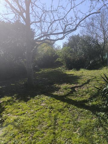 UNE PÉPITE À DÉCOUVRIR…  Bram (11150)