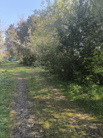 UNE PÉPITE À DÉCOUVRIR…  Bram (11150)