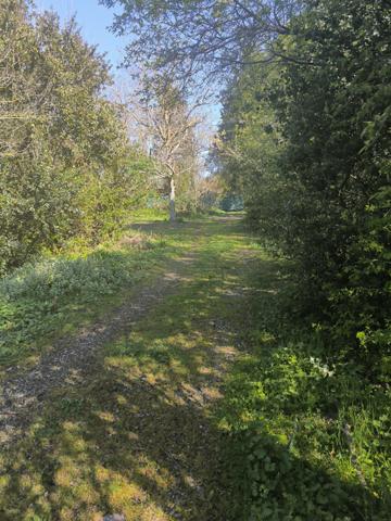 UNE PÉPITE À DÉCOUVRIR…  Bram (11150)