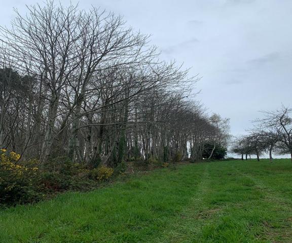 PROPRIETE AGRICOLE RIEUX