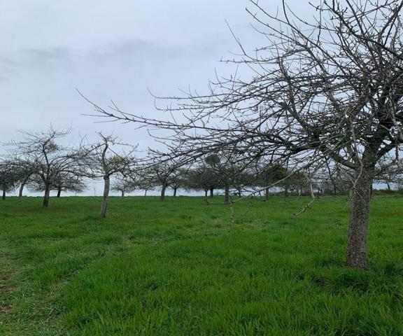 PROPRIETE AGRICOLE RIEUX