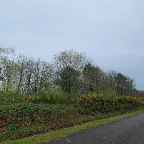 PROPRIETE AGRICOLE RIEUX