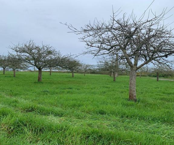 PROPRIETE AGRICOLE RIEUX