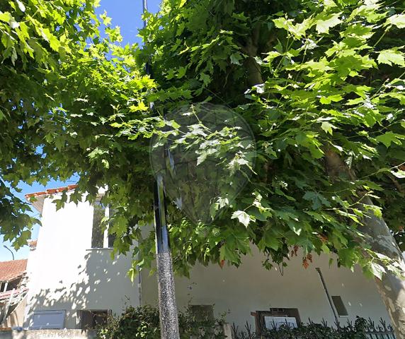 Appartement  en vente - 