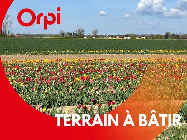 Terrain à vendre    Templeuve