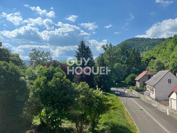 Coquet 2 pièces rénové de 50.65m² à Vieux-Thann