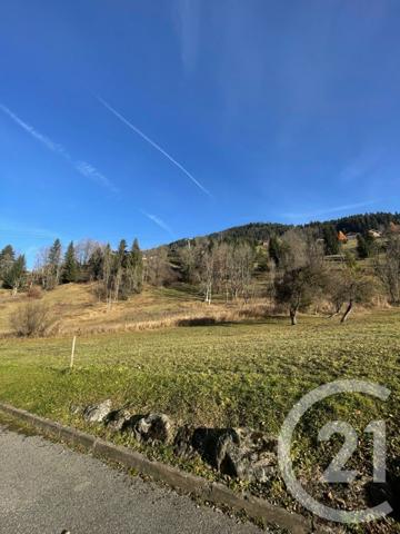 Appartement F3 à vendre  3 pièces - 56,40 m2 LA CHAPELLE D ABONDANCE - 74