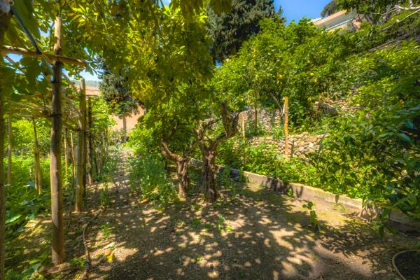 Vente Maison provençale de luxe Roquebrune-Cap-Martin 8 Pièces 266 m²