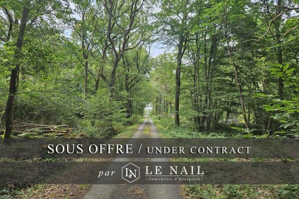 Intéressante forêt à vendre de 61 ha en Haut-Anjou