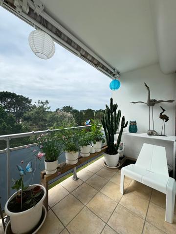 Magnifique appartement meublé à 50m de la plage
