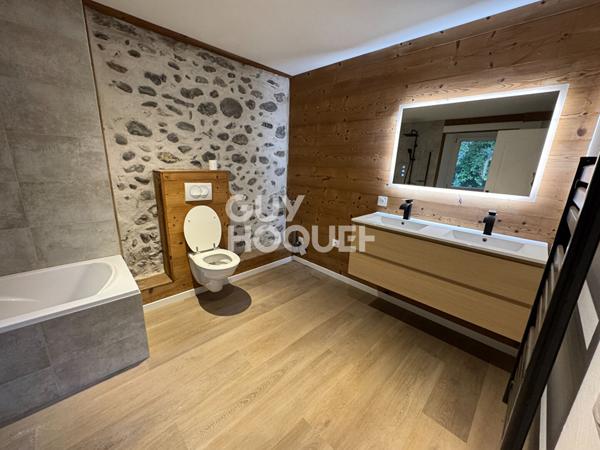 À vendre : Appartement poétique au coeur d'Albertville