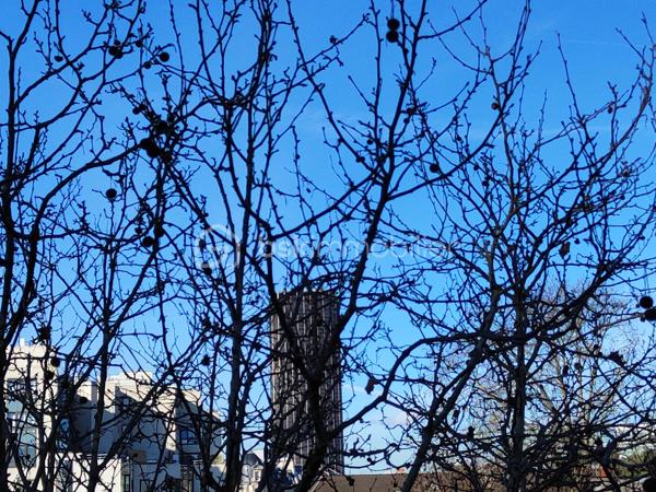 Appartement de 23 m²