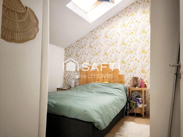 semi plain pieds de 2014