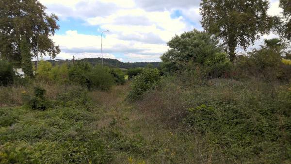 Vente / Maison et grand terrain