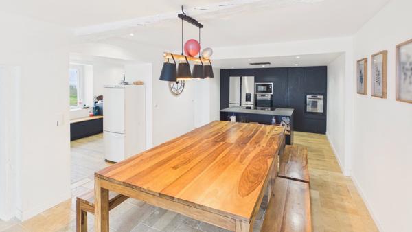 Corps de ferme rénové - Vue Pyrénées - 440 m² habitables - 7 200 m² de terrain Peyrehorade