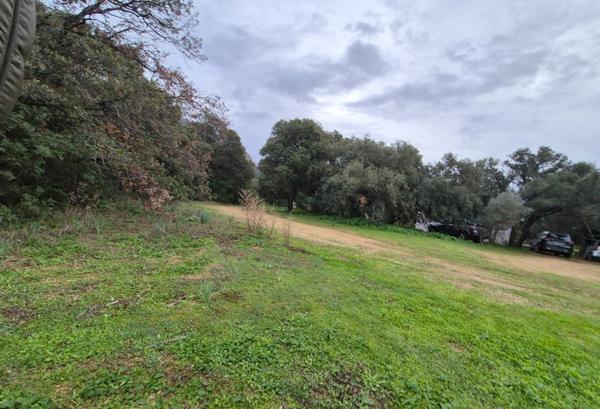 Terrain à vendre LUMIO (20)