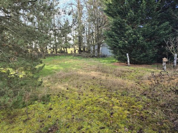 Vente Terrain 1619 m2 à Vergongheon