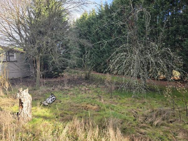 Vente Terrain 1619 m2 à Vergongheon