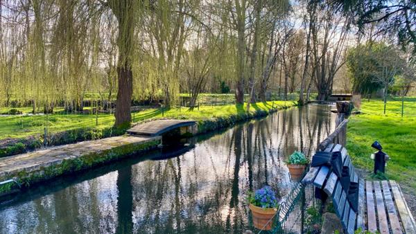 Maison en pierre  avec rivière ,Piscine, Terrain 7 000 m², Lezay (79)