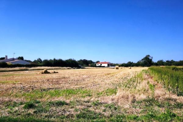 Muron (17430) Terrain constructible