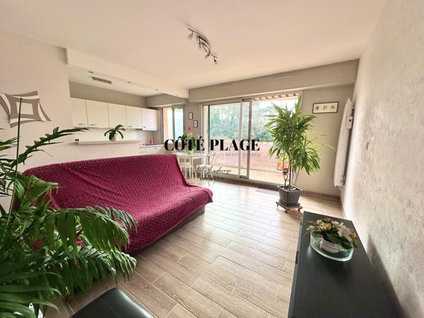 Vaux-sur-Mer (17640) VAUX /MER plage NAUZAN -Résidence Bord de Mer – Studio T1 Parfait État avec balcon - AU PRIX DE 159.000€HAI