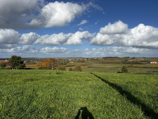 Terrain à batir