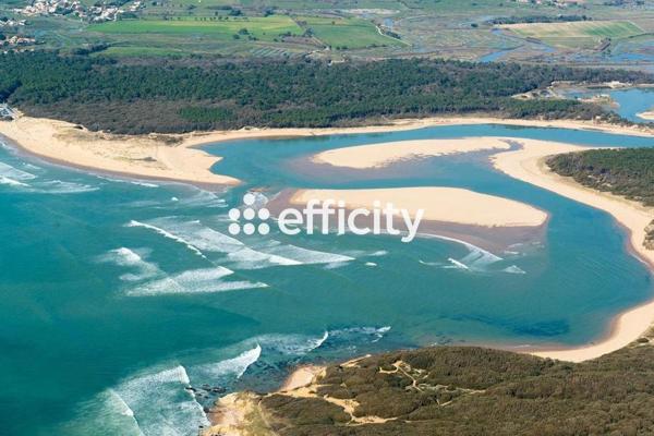 Appartement 2 pièces - 35 m²