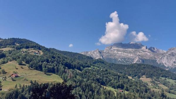Vente / Appartement T2 à Manigod (74230)