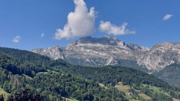 Vente / Appartement T2 à Manigod (74230)