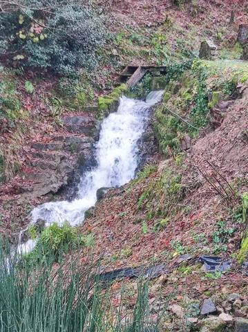 Entre Cluny et Charolles, ensemble immobilier avec 3 gîtes, d'une surface de 190 m², sur terrain de 6 000 m²