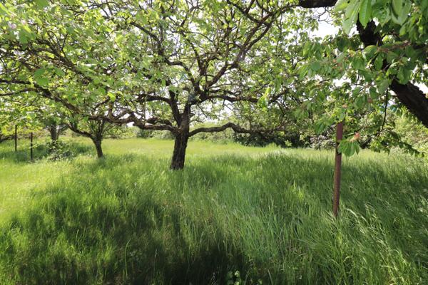 Wittelsheim (68310) Maison + terrain de 1266 m²