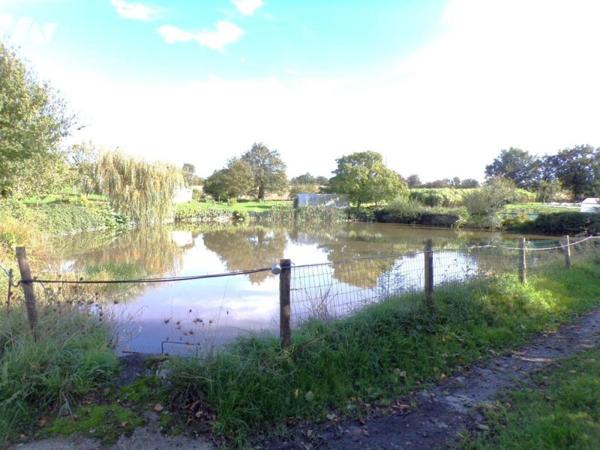 Le Puy Saint Bonnet , Maison + Gîtes