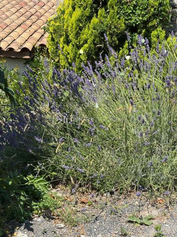 Bastide de 285 m²