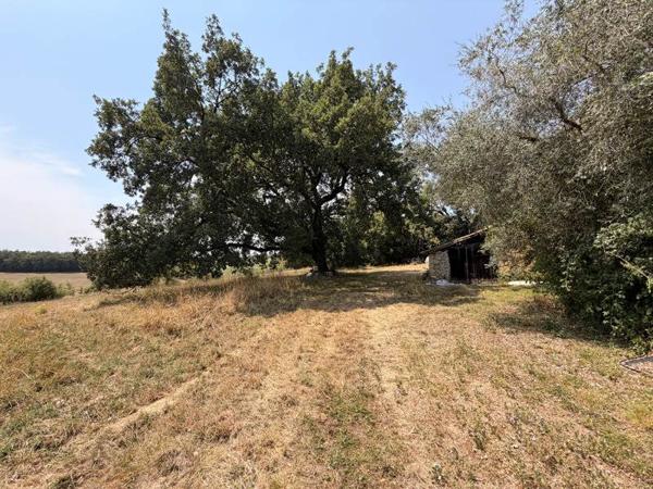 Maison 170 000 € Pavie 7 p 443 m² DPE