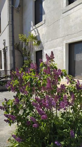 Vente                                                      Maison de village
                        
                     6 pièces                      188 m2                     à Valonne