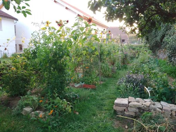 Vente                                                      Maison de village
                        
                     6 pièces                      188 m2                     à Valonne